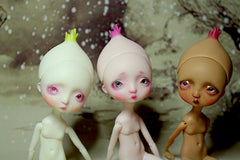 Xmas In Stock Pocket Onion