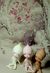 Xmas In Stock Pocket Onion