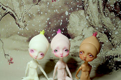 Xmas In Stock Pocket Onion