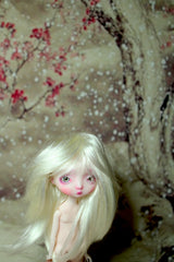 Xmas In Stock Pocket Onion