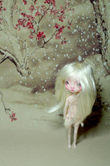 Xmas In Stock Pocket Onion