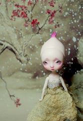 Xmas In Stock Pocket Onion