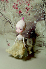 Xmas In Stock Pocket Onion