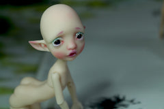 Pocket Mystery elf again!