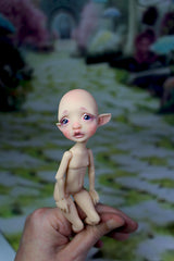 Pocket Mystery elf