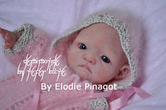 Barnabe Prince of Trolls, LIMITED EDITION KIT.