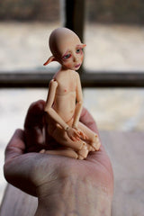 A Pocket Lou Elf