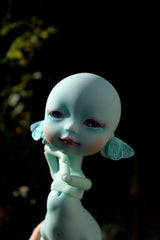 Whybe, the fluttering dream.