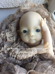 Barnabe Prince of Trolls, LIMITED EDITION KIT.