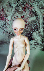 Mini Stadnik
