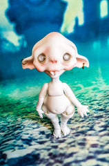 Face Up in stock Winter Sale!