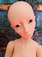 Stadnik In Stock